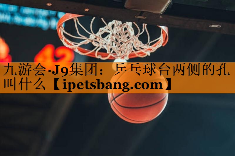 九游会·J9集团：乒乓球台两侧的孔叫什么