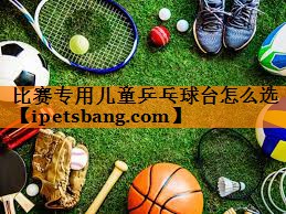 比赛专用儿童乒乓球台怎么选