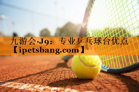 九游会·J9：专业乒乓球台优点