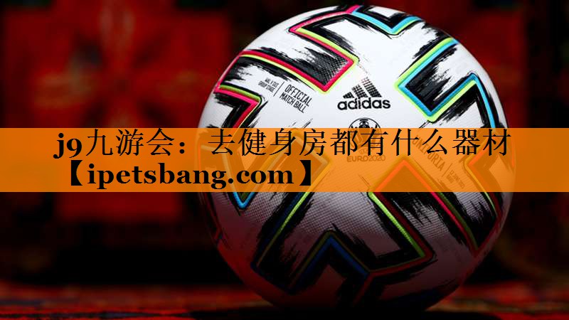 j9九游会：去健身房都有什么器材