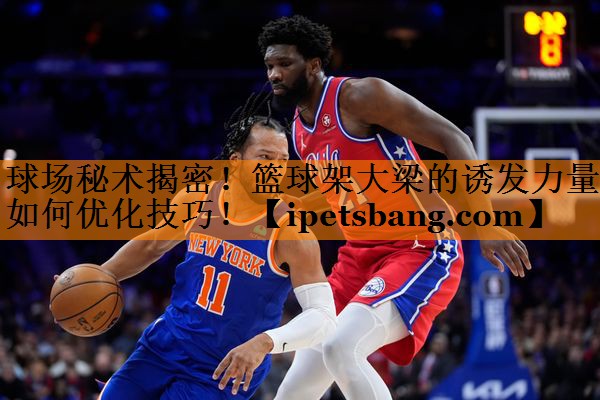 球场秘术揭密！篮球架大梁的诱发力量如何优化技巧！