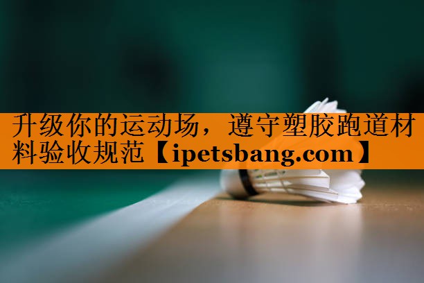 升级你的运动场，遵守塑胶跑道材料验收规范