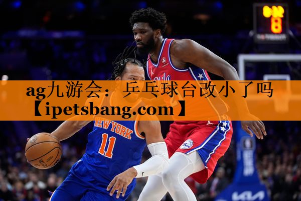 ag九游会：乒乓球台改小了吗