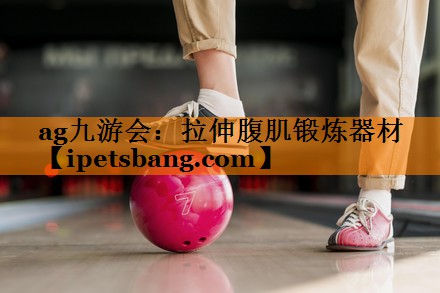 ag九游会：拉伸腹肌锻炼器材