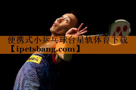 便携式小乒乓球台星轨体育下载