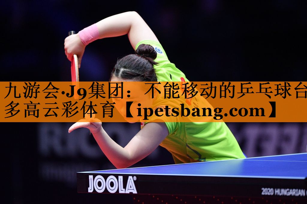 九游会·J9集团：不能移动的乒乓球台多高云彩体育