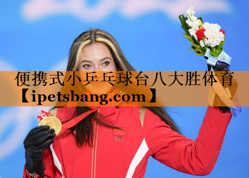 便携式小乒乓球台八大胜体育