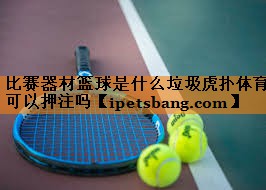 比赛器材篮球是什么垃圾虎扑体育可以押注吗