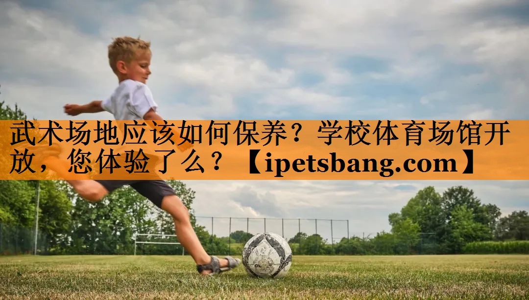 武术场地应该如何保养？学校体育场馆开放，您体验了么？