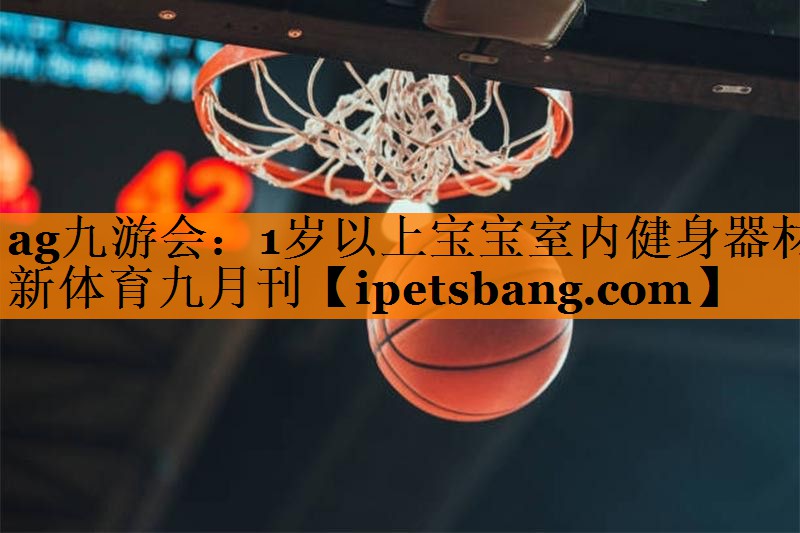 ag九游会：1岁以上宝宝室内健身器材新体育九月刊