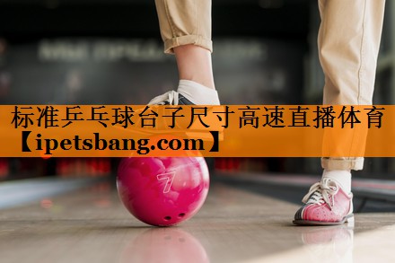 标准乒乓球台子尺寸高速直播体育