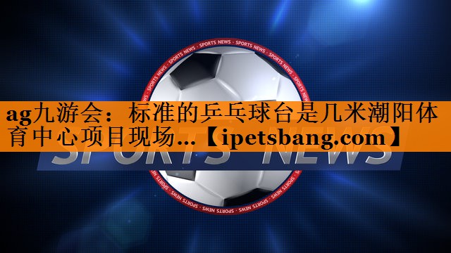 ag九游会：标准的乒乓球台是几米潮阳体育中心项目现场…