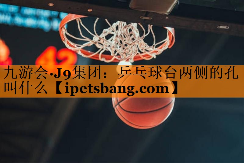 乒乓球台两侧的孔叫什么