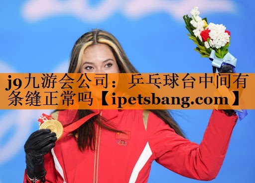 乒乓球台中间有条缝正常吗 乒乓球台中间有条缝正常吗