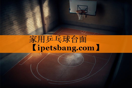 家用乒乓球台面 家用乒乓球台面