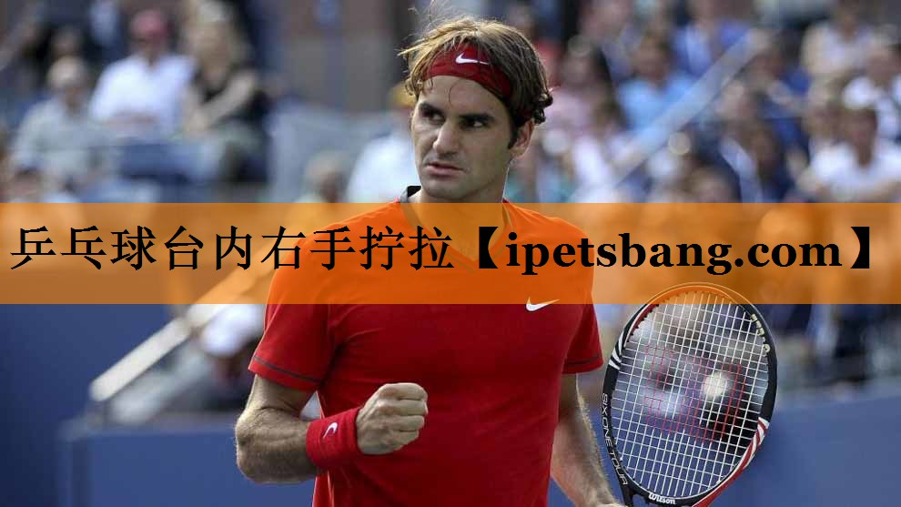 乒乓球台内右手拧拉 乒乓球台内右手拧拉
