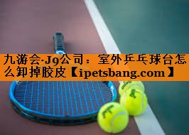 室外乒乓球台怎么卸掉胶皮 室外乒乓球台怎么卸掉胶皮