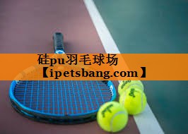 硅pu羽毛球场 硅pu羽毛球场