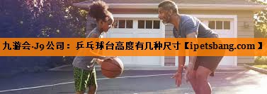 乒乓球台高度有几种尺寸